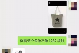 三门峡融资清欠服务